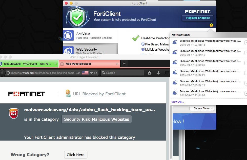Fortinet symantec bitfender citrix workspace not working